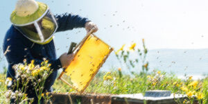 Unlock R&D tax credits for your overseas energy ventures