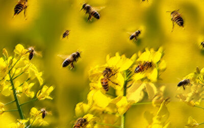 Boost innovation by capturing the value of disruptive technology